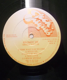 Master Release: Promise Me by Ernest Wilson