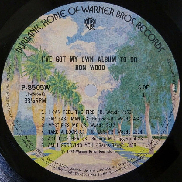 I've Got My Own Album To Do