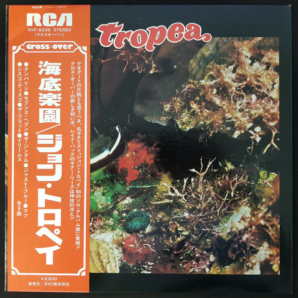 Release: Tropea-Vinyl-Japan-1976-RVP-6039-9633442