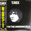 T. Rex - Dandy In The Underworld (Vinyl, LP, Album) Near Mint (NM or M-) / Very Good Plus (VG+)