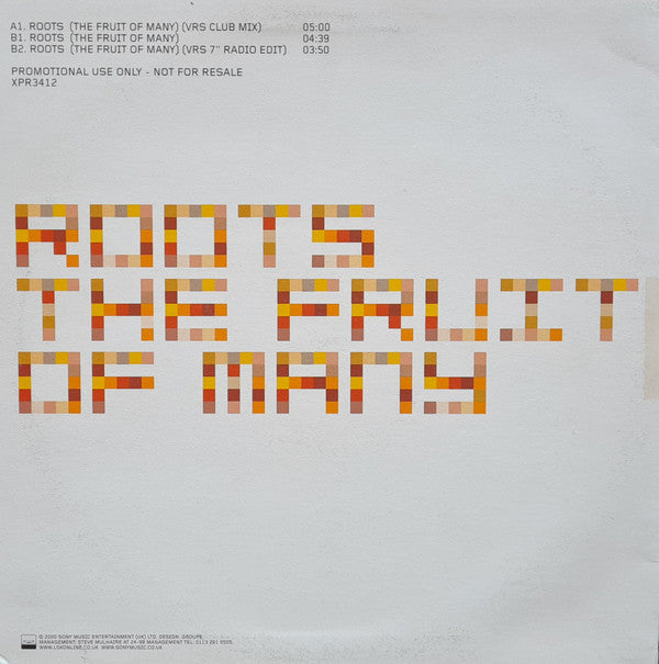 Master Release: Roots (The Fruit Of Many) by LSK