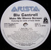 Blu Cantrell - Make Me Wanna Scream (Vinyl, 12