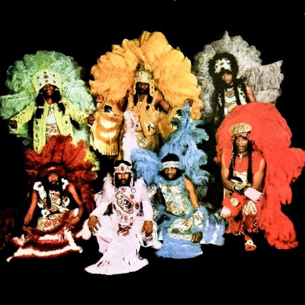 The Wild Magnolias