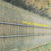 ウイッシュ - ウイッシュのはじめてのえるぴい (Vinyl, LP) Good Plus (G+) / Very Good (VG)