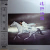 Himekami - 遠野物語 (Vinyl, LP, Album) Very Good Plus (VG+) / Good Plus (G+)