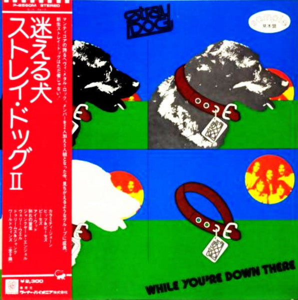 Release: While You're Down There-Vinyl-Japan-1974-P-8560M-10201184