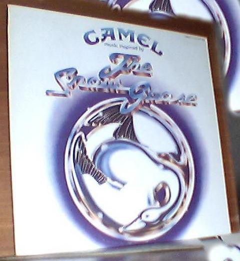 The Snow Goose