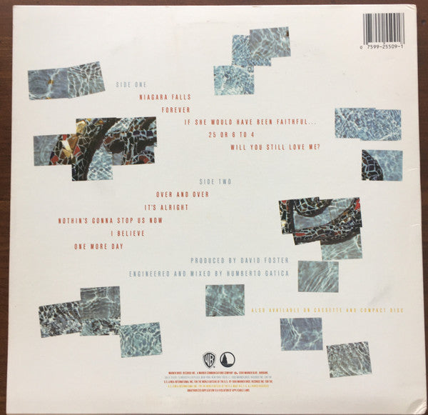 Release: Chicago 18-Vinyl-US-1986-9 25509-1, 1-25509-19613260