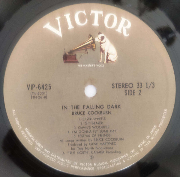 In The Falling Dark