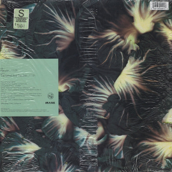 Master Release: Radiccio by Orbital