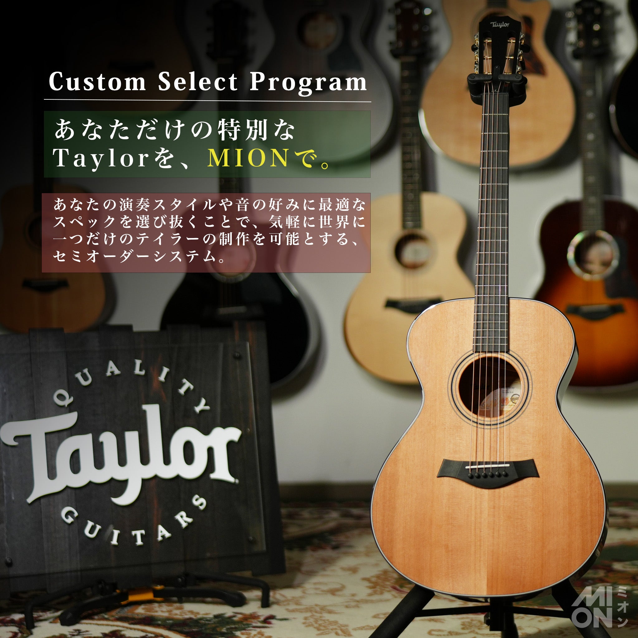 Taylor Custom Select Program - MION -